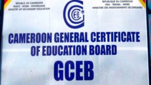 GCE 2025 Results