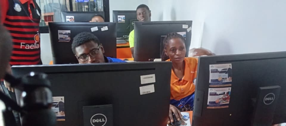 Professional Software Engineering Training for Beginners in Cameroon