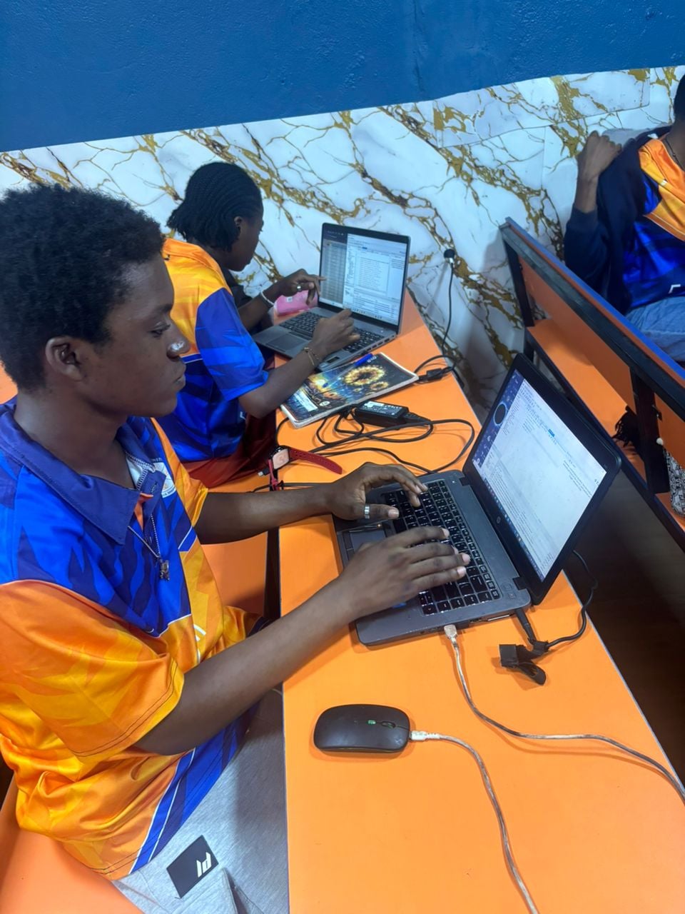 best Software engineering Training school in douala